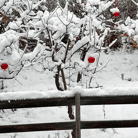 Lechtaler Alpenblick - Privatzimmer&ferienwohnung Apartment *