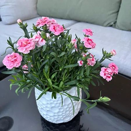 Lechtaler Alpenblick - Privatzimmer&ferienwohnung *