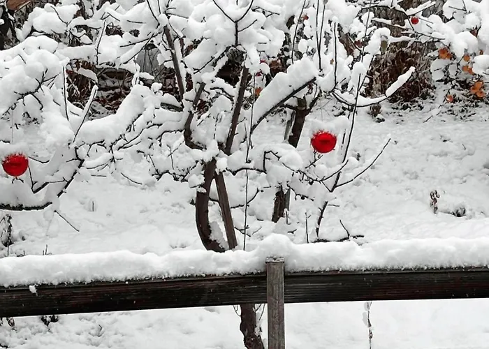 Lechtaler Alpenblick - & Διαμέρισμα *