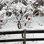 Lechtaler Alpenblick - & Appartement *